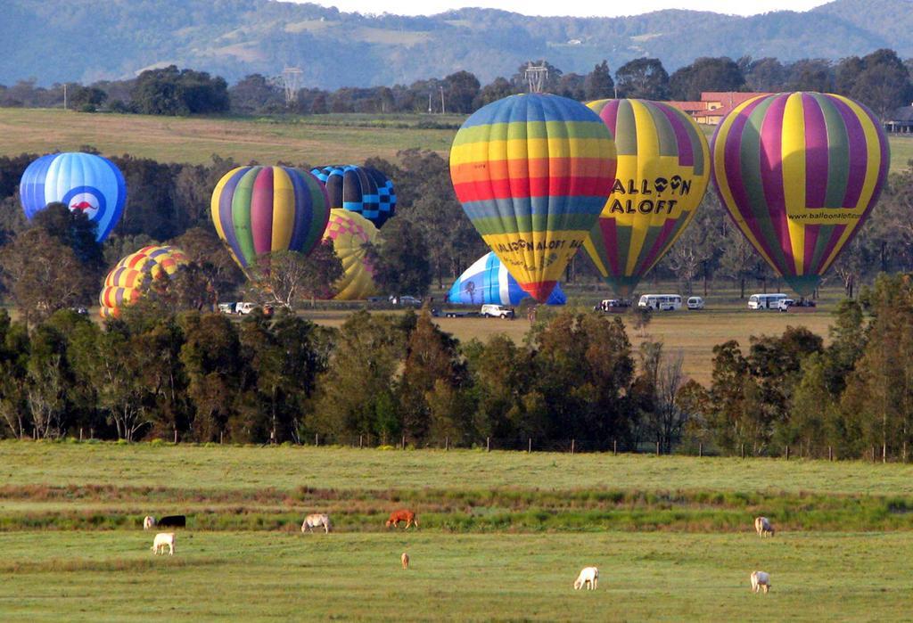 Aparthotel Adina Vineyard Lovedale Exterior foto